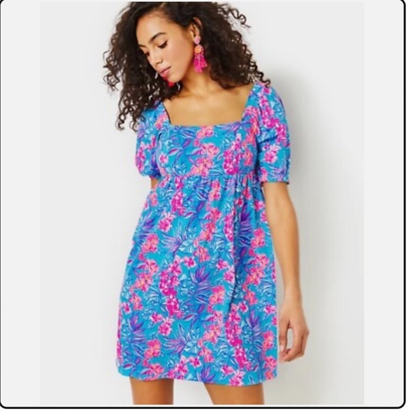 Lilly Pulitzer Delaney Short Sleeve Dress Size 2 - Picture 5 of 15